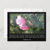 ハミングバード&バラのシャロン聖なる書物、 経典ポストカード ポストカード (正面/裏面)