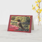 ハミングバード・パソニー・カード カード (黄色い花)