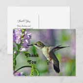ハミングバード ピンク フローラル ワイルドライフ フォト サンクス ポストカード (正面/裏面)