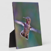 ハミングバード フォトプラーク (側面)
