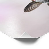 ハミングバード フォトプリント            (角)