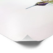 ハミングバード フォトプリント            (角)