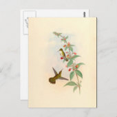 ハミングバード&フラワーポストカード ポストカード (正面/裏面)
