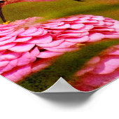 ハミングバード ポスター (角)