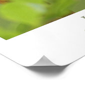 ハミングバード ポスター (角)