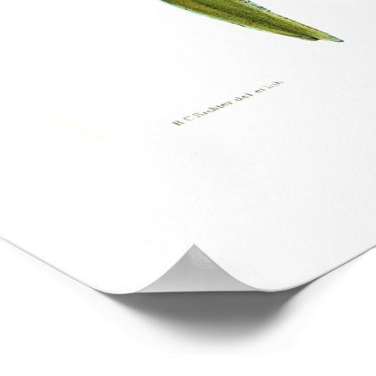 ハミングバード ポスター (角)