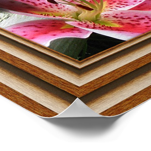 ハミングバード ポスター (角)