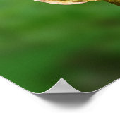 ハミングバード ポスター (角)