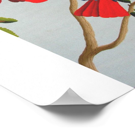 ハミングバード ポスター (角)