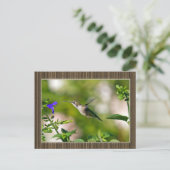ハミングバード ポストカード (スタンド正面)