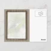 ハミングバード ポストカード (裏面)