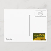 ハミングバード ポストカード (裏面)