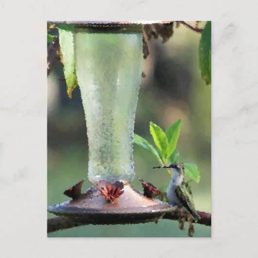 ハミングバード ポストカード (正面)
