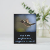 ハミングバード ポストカード (スタンド正面)