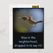 ハミングバード ポストカード (正面/裏面)