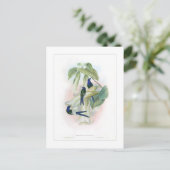 ハミングバード ポストカード (スタンド正面)