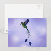 ハミングバード ポストカード (正面/裏面)