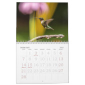 ハミングバード、小さな夏の訪問者カレンダー カレンダー (2月 2027)