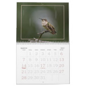 ハミングバード、小さな夏の訪問者カレンダー カレンダー (3月 2027)