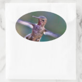 ハミングバード 楕円形シール (バッグ)