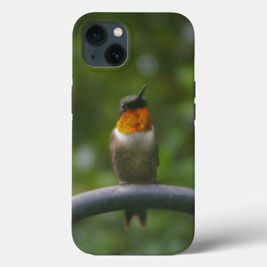 ハミングバード Case-Mate iPhoneケース (裏面)
