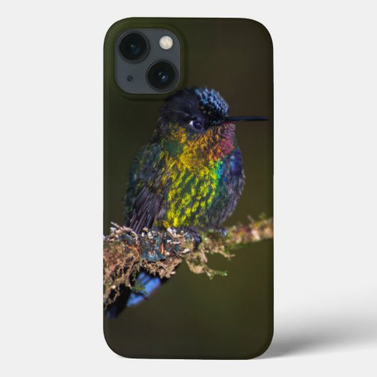 ハミングバード Case-Mate iPhoneケース (裏面)