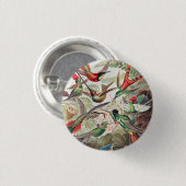 ハミングバード， Trochilidae Kolibris著Ernst Haeckel 缶バッジ (正面&裏面)