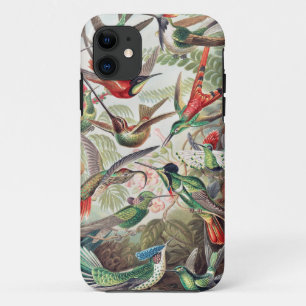 ハミングバード, Trochilidae Kolibris著Ernst Haeckel iPhone 11 ケース