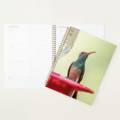 ハミングバードinテキサス州2024 プランナー手帳 (ディスプレー)