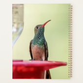 ハミングバードinテキサス州2024 プランナー手帳 (裏面)