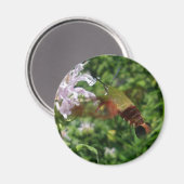 ハミングバ澄んードウィングモス調整項目 マグネット (正面/裏面)