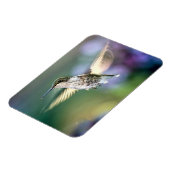 ハミングバ飛んでいるッド マグネット (左側)