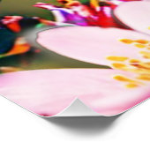 ハミングバ飛んでいるードの花つやのあるポスター ポスター (コーナー)