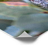 ハミングバ食べ物を与えッド時間 ポスター (角)