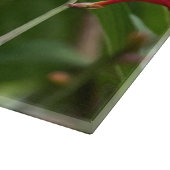 ハミングバ食べ物を与えードアットレッドクロコシア カッティングボード (角)