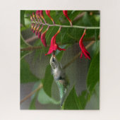 ハミングバ食べ物を与えードアットレッドクロコシア ジグソーパズル (縦)