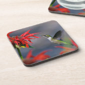 ハミングバ食べ物を与えードコースターセット コースター (左側)