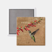 ハミングバ食べ物を与えードズが庭に マグネット (正面/裏面)