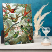 ハミング鳥パラダイスアート フォトプラーク (側面)