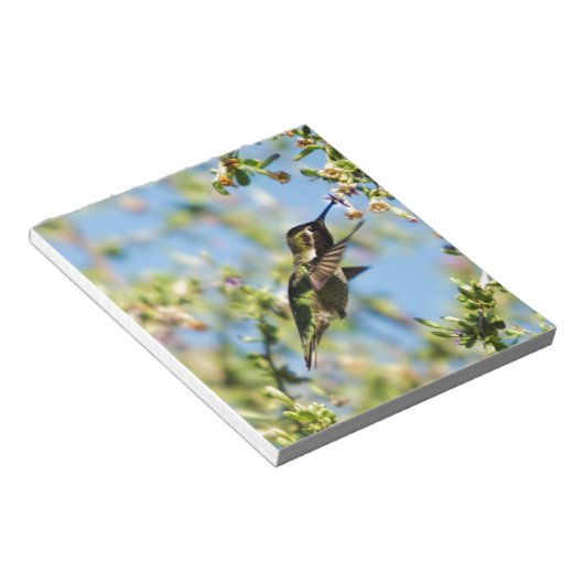 ハミング鳥 ノートパッド (アングル)