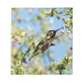 ハミング鳥 ノートパッド (正面)