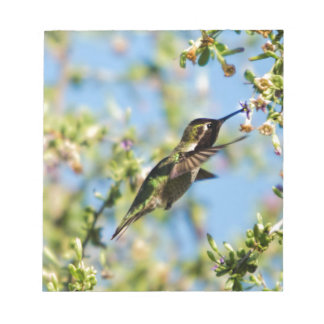 ハミング鳥 ノートパッド