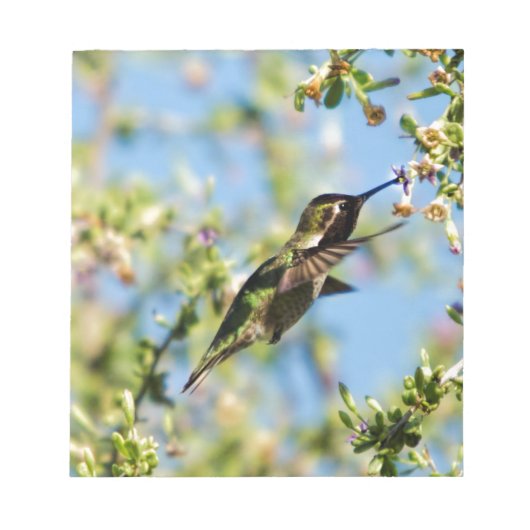 ハミング鳥 ノートパッド (正面)