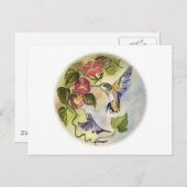 ハミング鳥 ポストカード (正面/裏面)