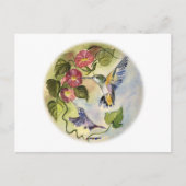 ハミング鳥 ポストカード (正面)