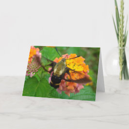 ハミング！ カード