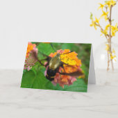 ハミング！ カード (黄色い花)