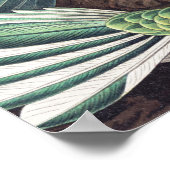 ハミンバードワイルフクラシックィー絵を描ズ ポスター (角)