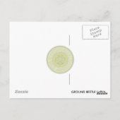 ハムシ幼虫葉書。 ポストカード (裏面)