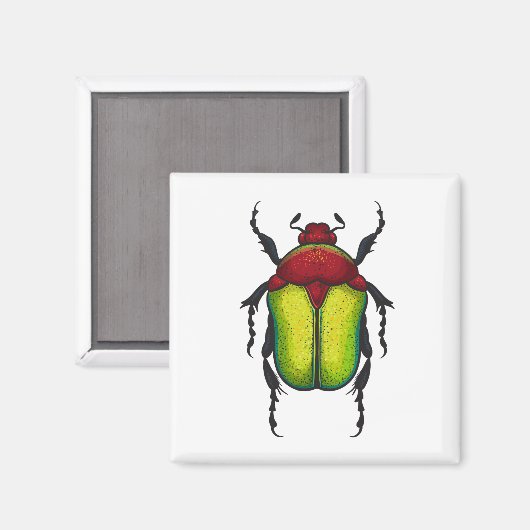 ハムシ マグネット (正面/裏面)